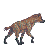 Creature: 08zSH