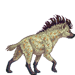 Creature: 0E42s