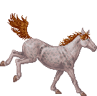 Epona