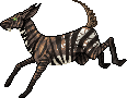 Creature: 1lZOX