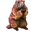 Creature: 25DKc