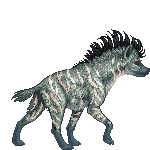 Creature: 447qa