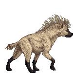 Creature: 5AQrl