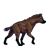 Creature: 6JfSe