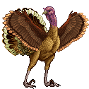 Creature: 8FmH4