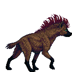 Creature: AUo5B