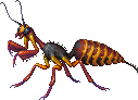 Creature: C27Uw