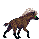 Creature: CLAqX