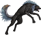 Creature: DydoD