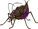 Creature: FbbuG