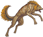 Creature: O4bMF