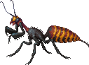 Creature: ZA15X