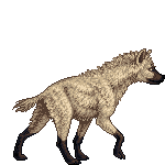 Creature: beOrN