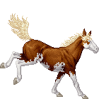 G1 Epona