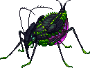 Creature: ff6qx