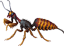 Creature: gdGQ1