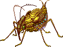 Creature: ibugl