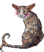 Creature: ldcat