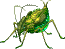 Creature: n5mB1