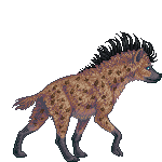 Creature: ovPsP