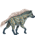 Creature: vYwJr