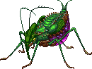 Creature: zox9D