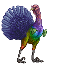 gay turkey