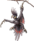 Black Palm Parrrot Hunter