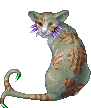 Seedpelt