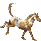 Golden Buckskin Varnish Roan BrF