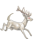 White White Red Deer