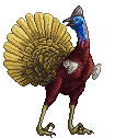 Murder Turkey