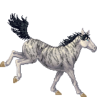 A wonderful stripey horse