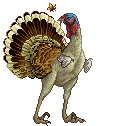 Turkey Queen