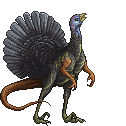 Gray Turkey Skeleton Black Brown Raptor