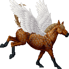 Bay - Draft Brown - Pegasus