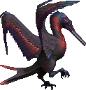 Red Throated Muskbirdo