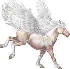 Cremello - Long White - Pegasus