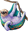 Pearl Sloth D. Ventreto