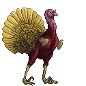 Red Gold Brown Turkey