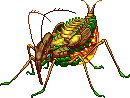 Bug III