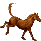 ordinary horse