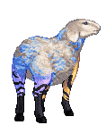 Dreamland Sheep