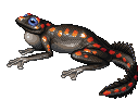 frog2