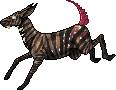 Redbrown Pink Zebra BNF