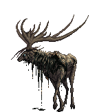 Reindeer