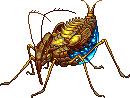 Sapphire Scarab