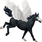 Horse with wings!!