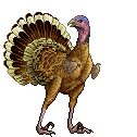 literally just a turkey