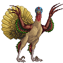 Proctor Gobble